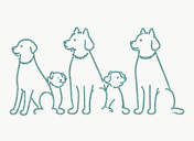 Group Walk