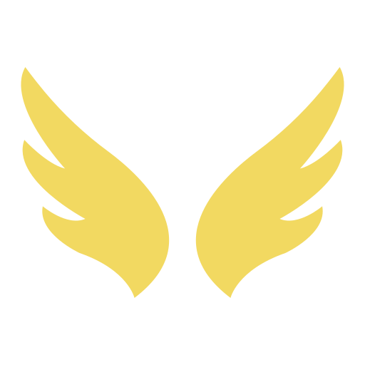 Fly