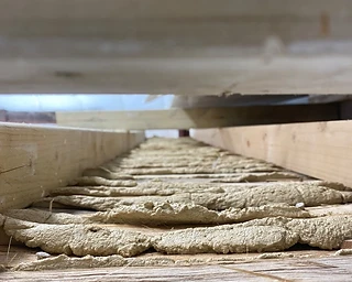 Lime plaster keyed between timber laths viewed down a joist cavity