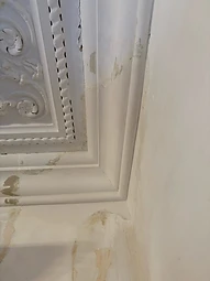 Completed ornate cornice with restored plaster work meeting the surrounding wall