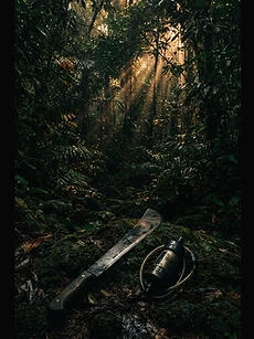 Jungle Survival Codex