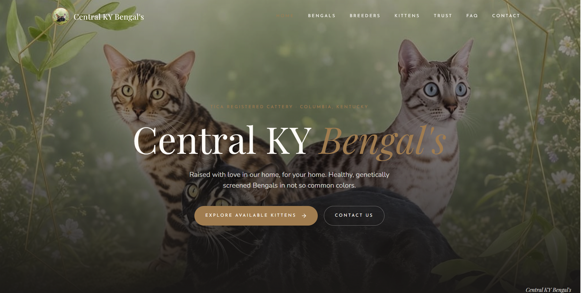 Central KY Bengals website homepage