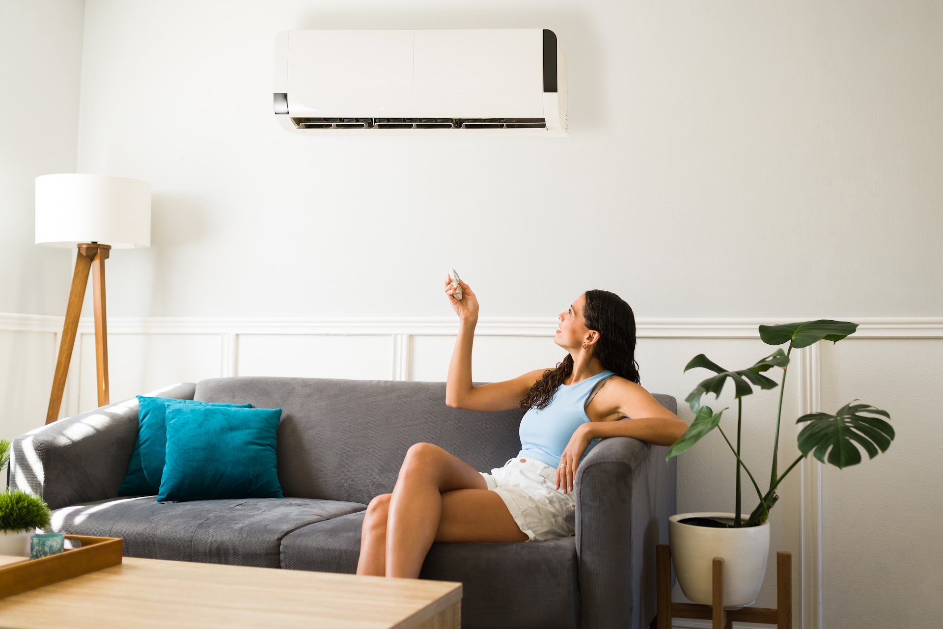 Ductless Mini-Splits