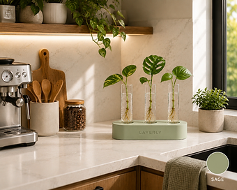 RootStudio Propagation Station
