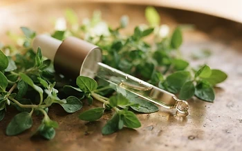Retinol vs Bakuchiol: Which Is Better for Your Skin?