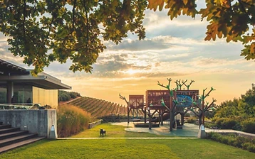 Stellenbosch Wine Walk