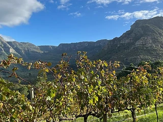 Silvermist Estate — Constantia wine estate