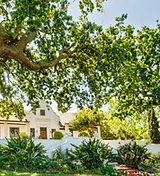 Saxenburg Wine Estate estate photograph
