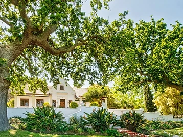 Saxenburg Wine Estate — Stellenbosch wine estate