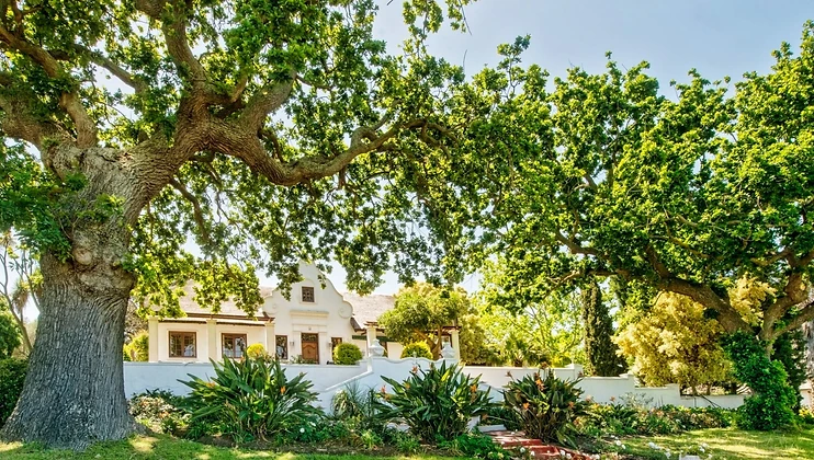 Saxenburg Wine Estate wine estate in Stellenbosch