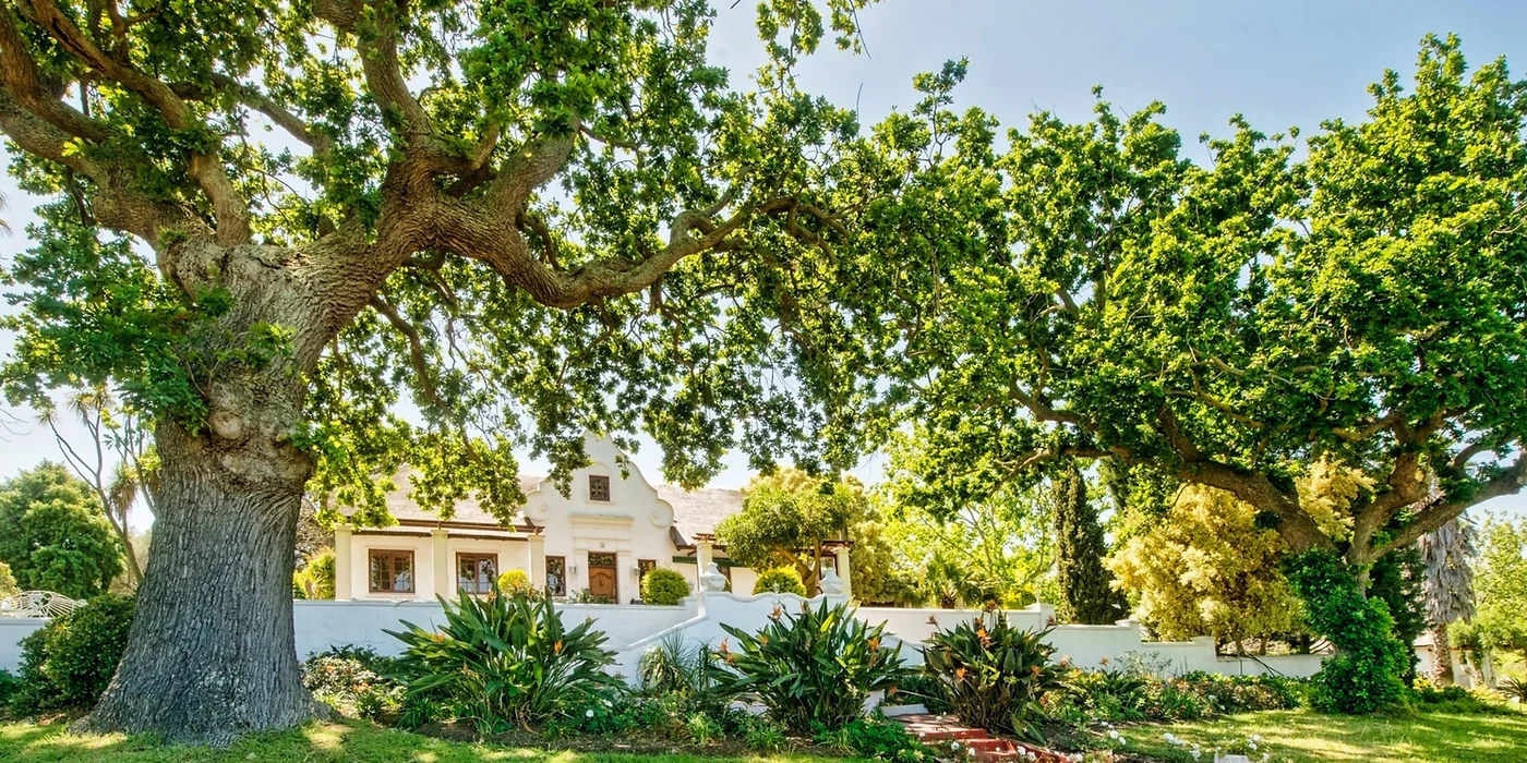 Saxenburg Wine Estate — Stellenbosch wine estate, Western Cape