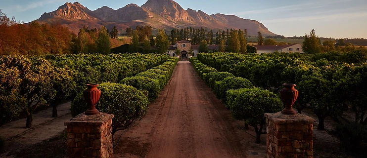 Waterford Estate conference venue in Stellenbosch