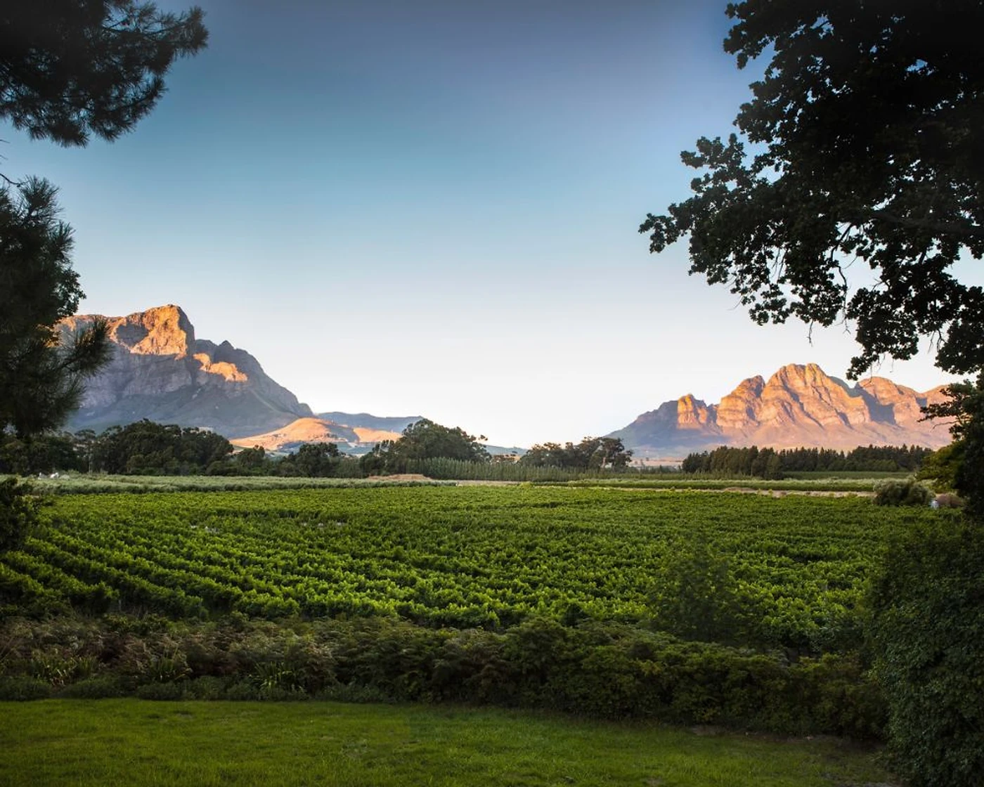 Terre Paisible — Franschhoek wine estate, Western Cape