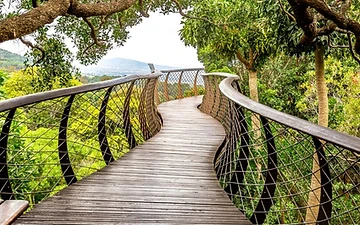 Kirstenbosch bis Constantia Weinwanderung