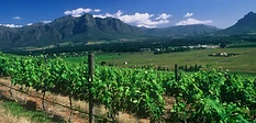 Freedom Hill Vineyards conference venue