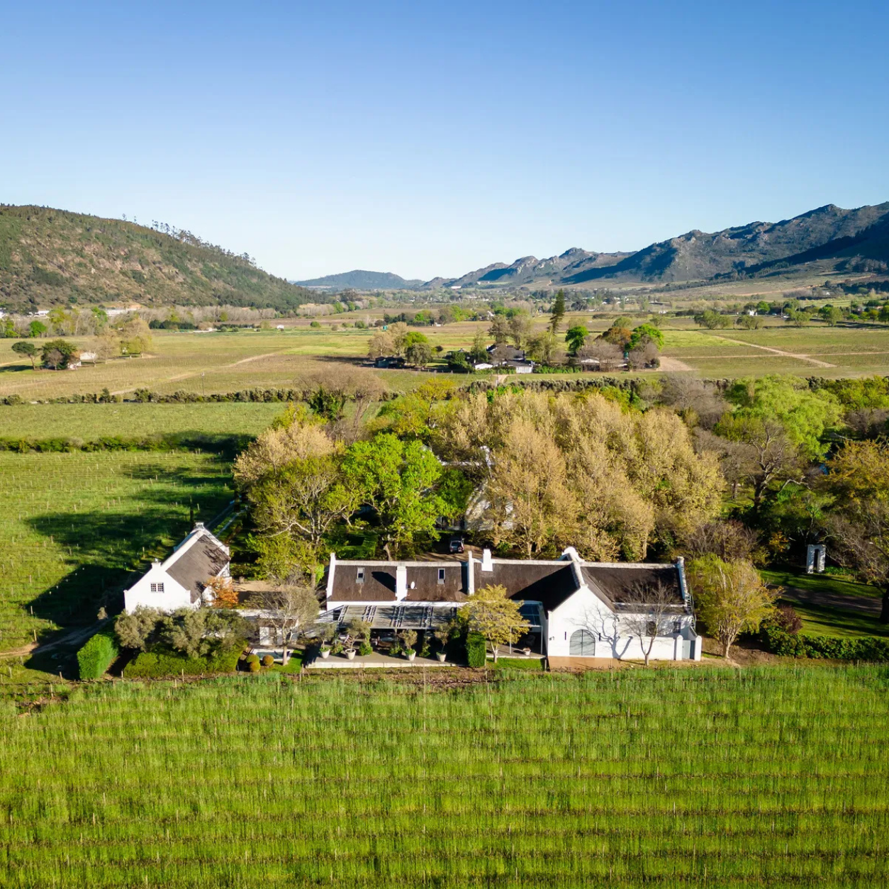 Accommodation at Grande Provence Wine Estate in Franschhoek