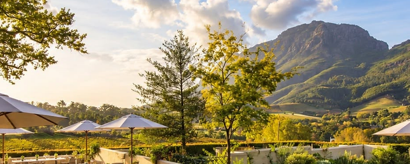 Le Pommier wine estate