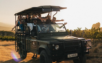 Wijngaard Safari Tour