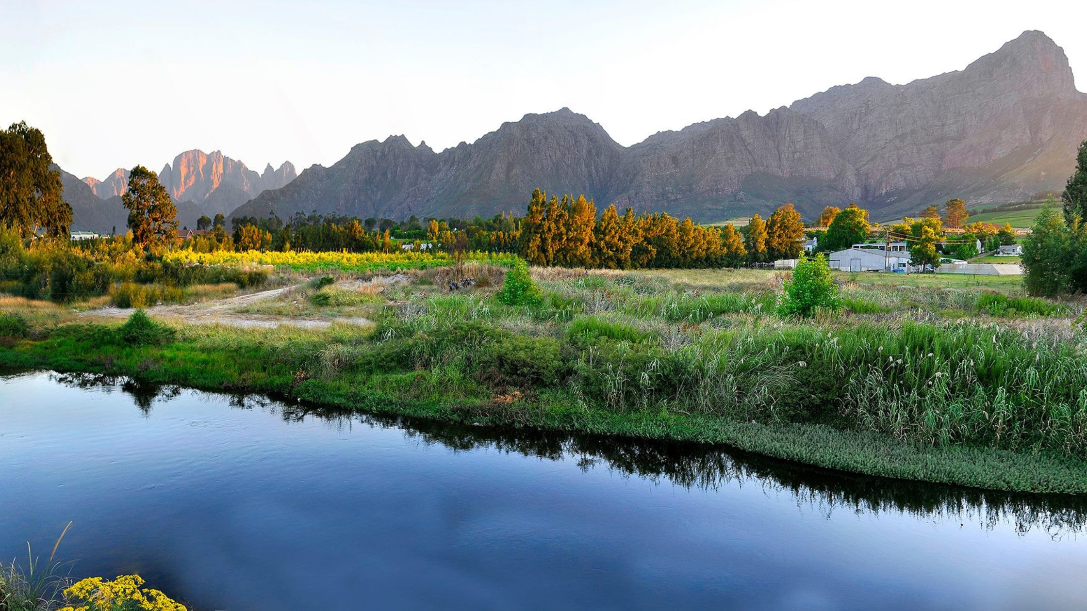 Planning a Festive-Season Wine Tour in the Cape Winelands