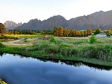 Planning a Festive-Season Wine Tour in the Cape Winelands