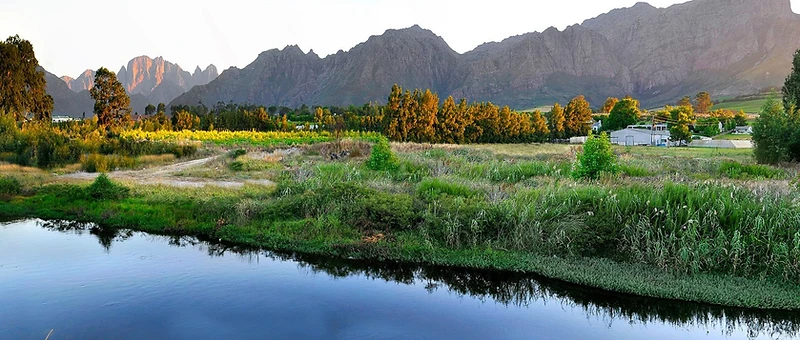 Planung einer Weintour in den Cape Winelands zur Festtagszeit