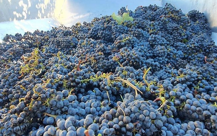 Meerlust Wine Estate
