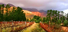 Upland Organic Estate conference venue