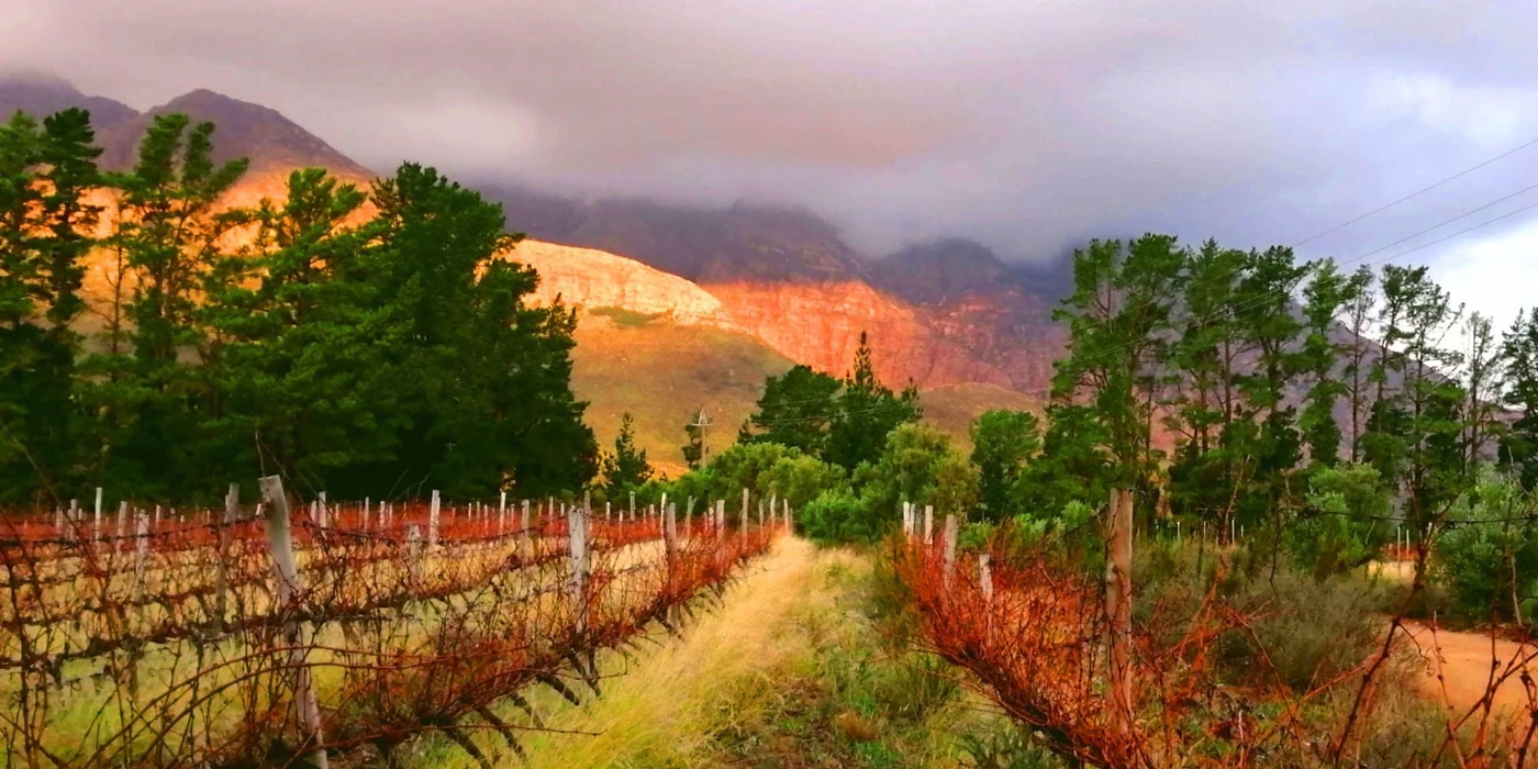 Upland Organic Estate — Wellington wine estate, Western Cape
