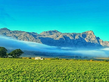 Akkerdal Wine Estate – Weingut in Franschhoek