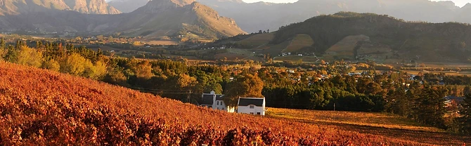 Franschhoek Cellar · photo 2