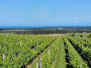 Packwood Wine and Country Estate — Garden Route wine estate