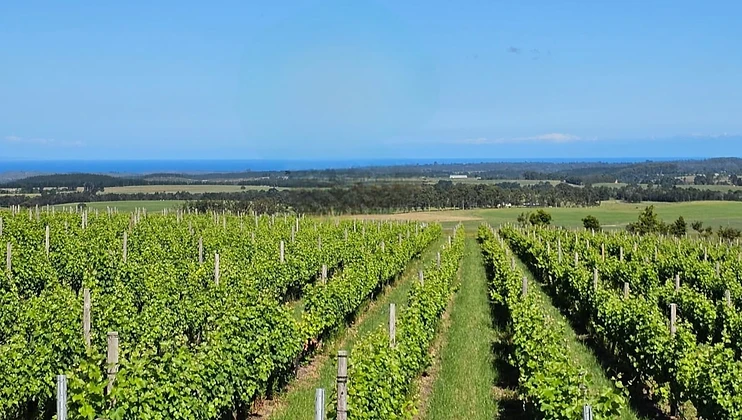 Packwood Wine and Country Estate wine estate in Garden Route