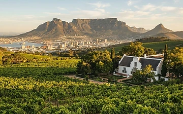 Stadt- & Winelands-Tour