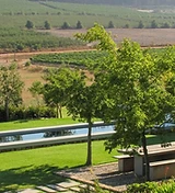 South Hill Vineyards estate photograph