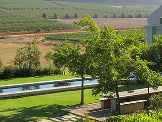 South Hill Vineyards — Elgin wine estate