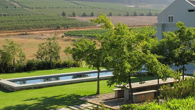 South Hill Vineyards wine estate in Elgin