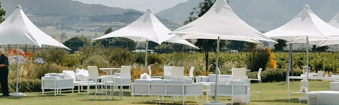 Paserene Wines · photo 4