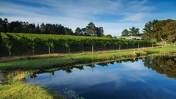 Luka Vineyards estate