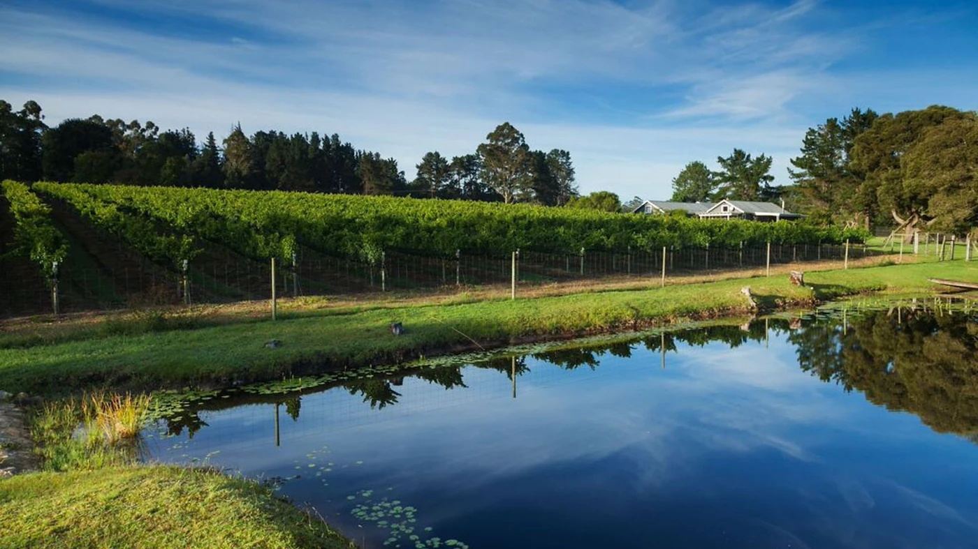 Luka Vineyards — Garden Route wine estate, Western Cape