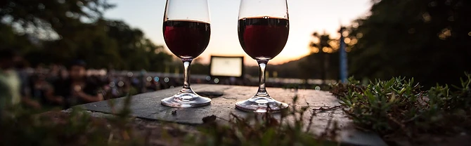 Franschhoek Cellar · photo 6