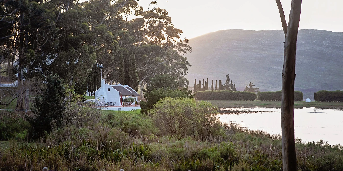 Hamilton Russell Vineyards — Cape South Coast wine estate, Western Cape