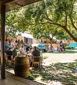Gabrielskloof Wine Estate estate photograph