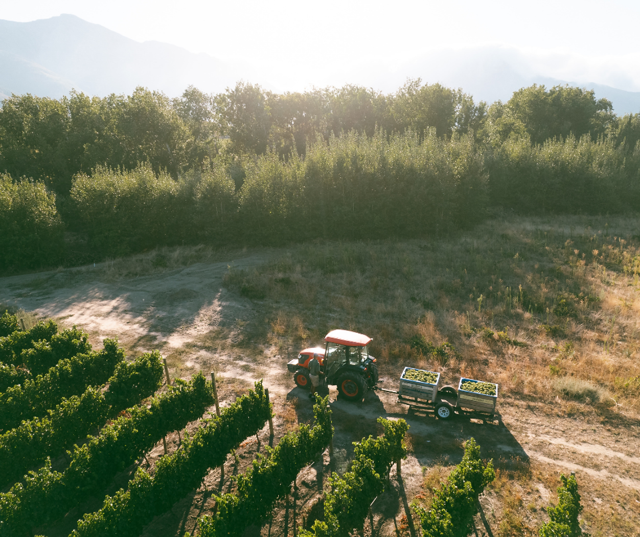 Harvest Season Wine Tour — Multi-region wine tour