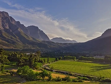 Stony Brook Vineyards – Weingut in Franschhoek