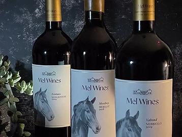 Mel Wines – Weingut in Franschhoek