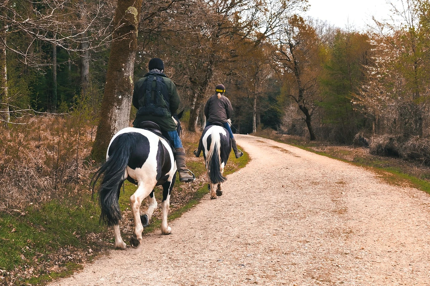 Horseback Wine Tour — Multi-region wine tour