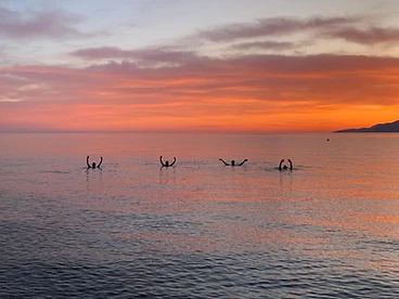 Four people practicing Qigong in the ocean at sunrise