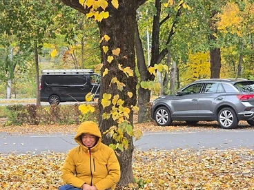 Man meditating under an autumn tree in golden leaves