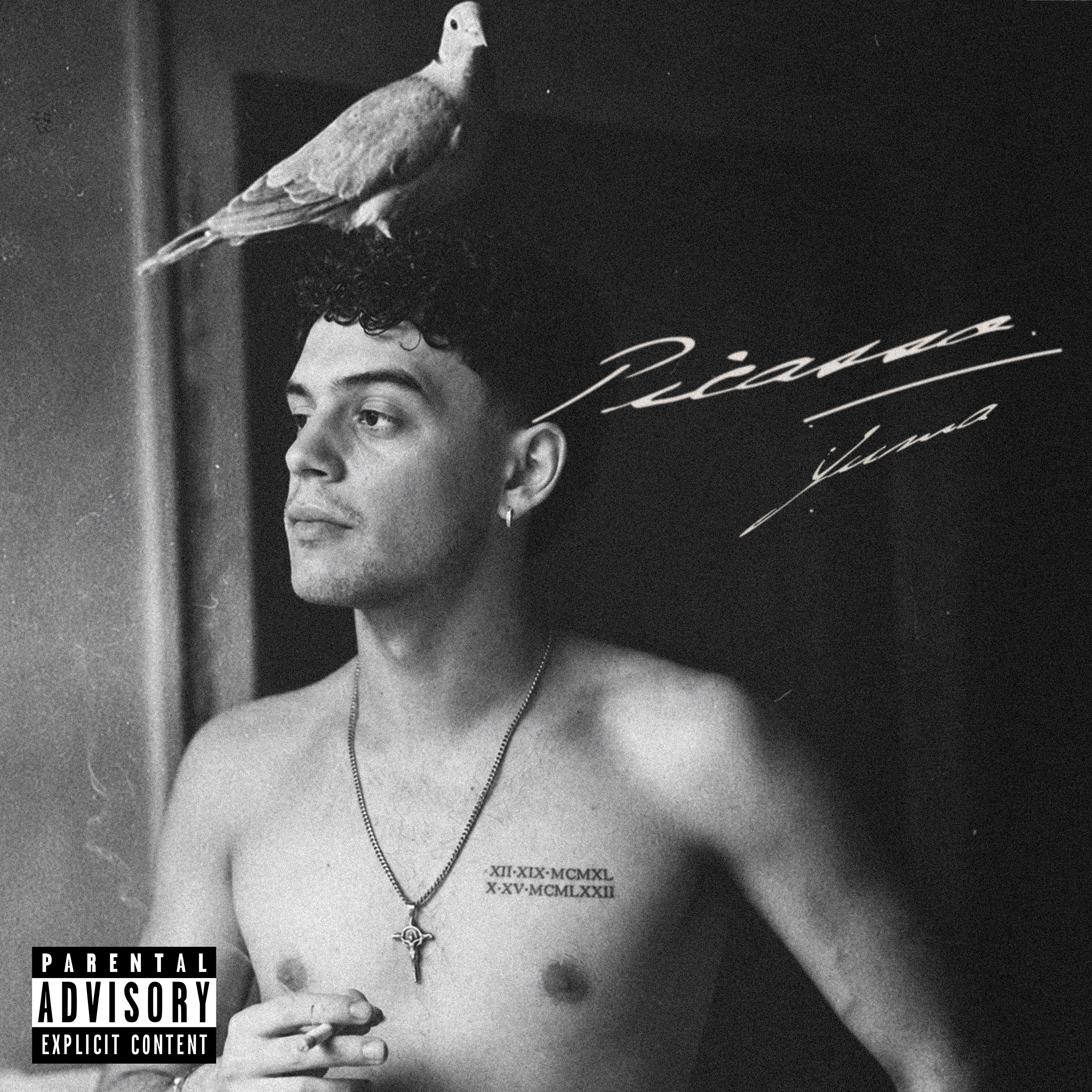 Cover art en blanco y negro de Picasso: Yuma de perfil con una paloma en la cabeza