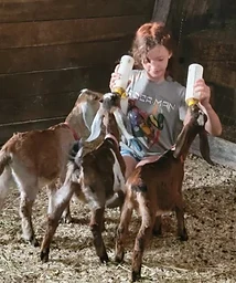 Pippi — Farm Kid at Providence Pastures